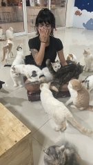 Cat Therapy